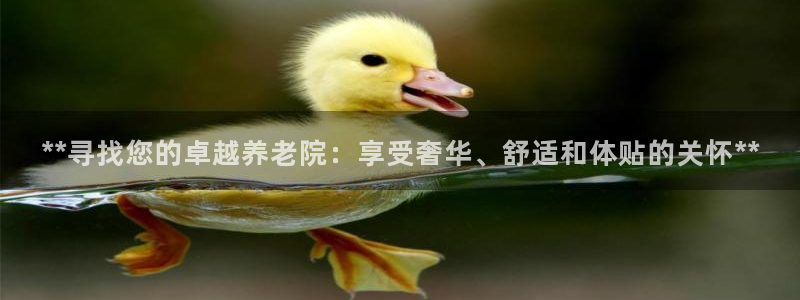 1946韦德找回密码