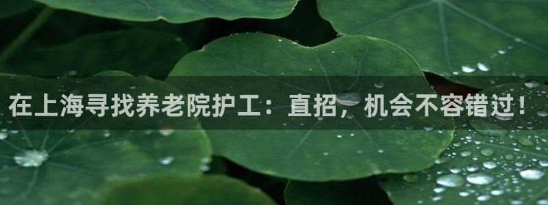 韦德游戏是什么
