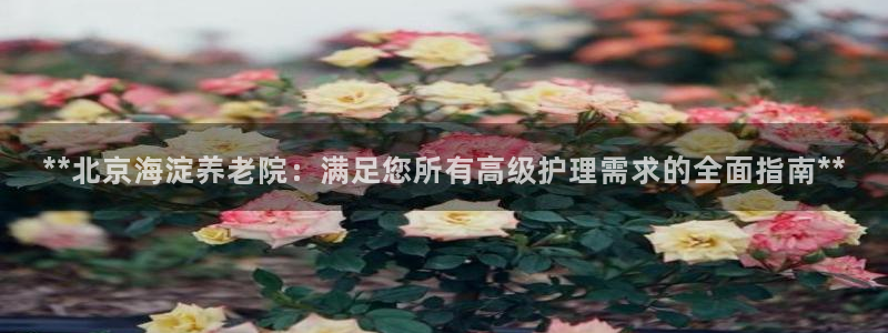 韦德1946备用网站