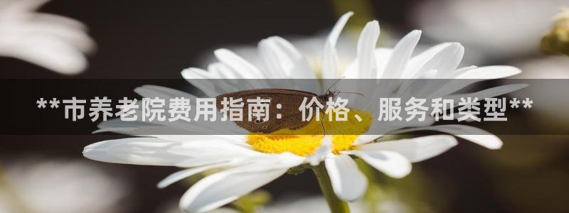 1946 韦德