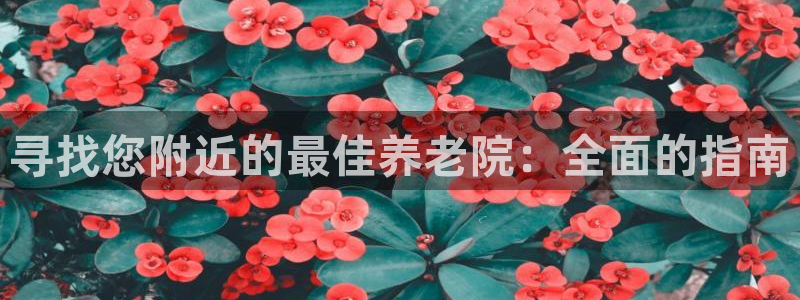 韦德1946bv1946