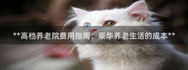 韦德官方网址