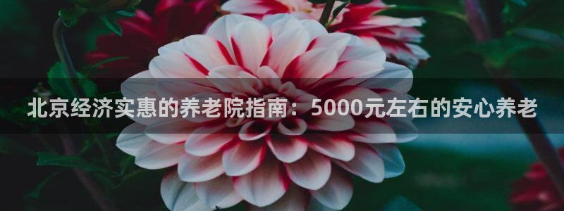 韦德网站官网