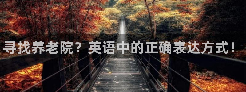 韦德是哪一届