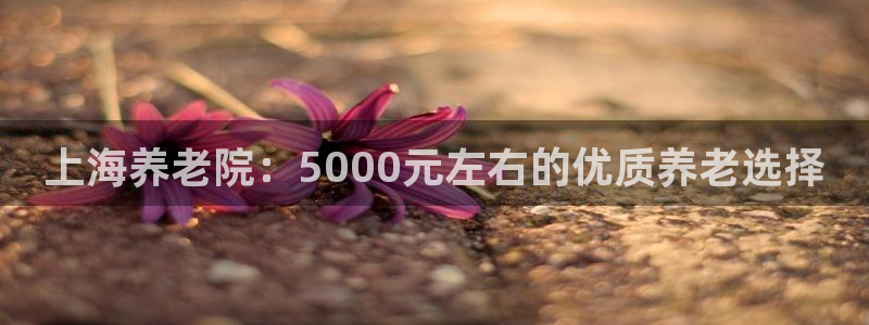 韦德游戏是什么