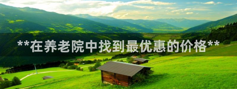 韦德观战总决赛G3
