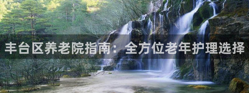 韦德 网站