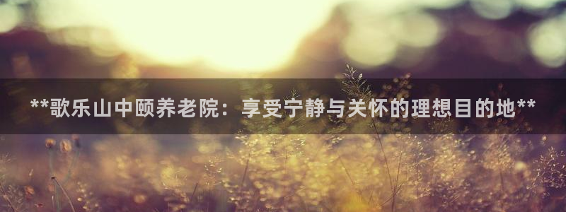 韦德1946体育