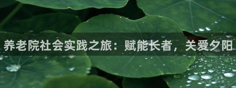 韦德betvictor