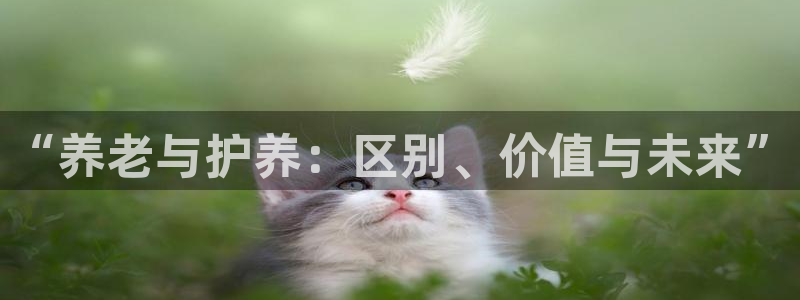 韦德1946手机网址
