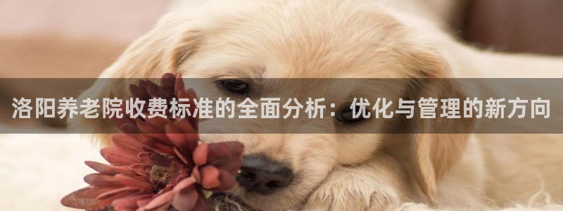 韦德合集