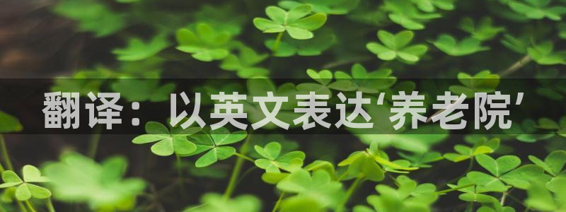 韦德的游戏