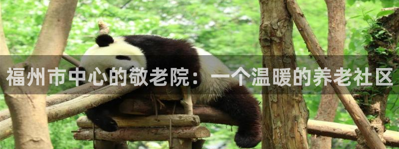 韦德com