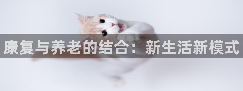 韦德官网在线