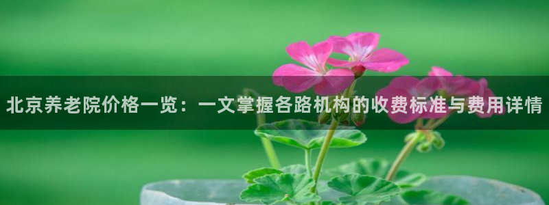 韦德是哪个