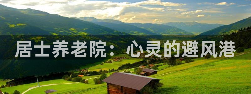 韦德com