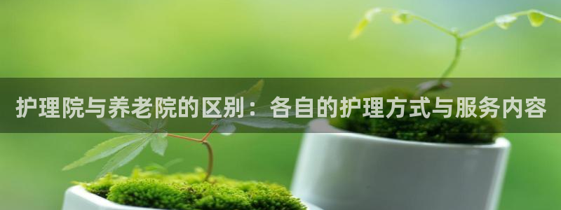 韦德惨案